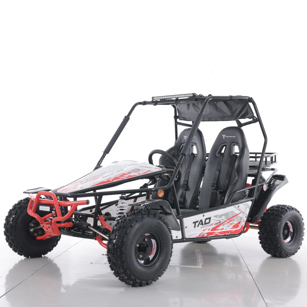 Tao Motor 200cc Electric Start Off Road Gas Go Kart