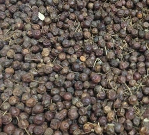 Frutos Secos Enteros de Ilex Cornuta <span class=keywords><strong>Lindl</strong></span> Ex Paxt, Recién Cosechados, Envasados al Vacío, para Té - Product Image 3