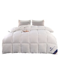 Literie de luxe douce et chaude en microfibre pour hôtel Literie d'hiver King Size en duvet Literie moelleuse en duvet