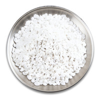 Perlite légère inertée pour jardinage pH-équilibré, excellente capacité d'absorption d'humidité, approvisionnement en vrac FCL pour la culture hydroponique de légumes en serre sans sol