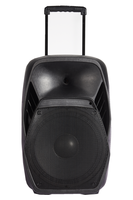 Enceinte portable 15 pouces à batterie, enceinte DJ professionnelle PA avec micros VHF pour événements mobiles en extérieur (vente en gros)