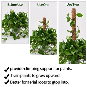 Plante Mousse Coir Pôle Pliable <span class=keywords><strong>Plantes</strong></span> Escalade <span class=keywords><strong>Support</strong></span> Extension Palmier Vignes Bâton Intérieur Balcon Jardin Cour Fleur Décor - Product Image 3