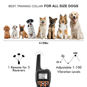 Collier de dressage pour chien sûr et antistatique, étanche et rechargeable, collier de correction pour animaux de compagnie, collier anti-aboiement pour extérieur - Product Image 4
