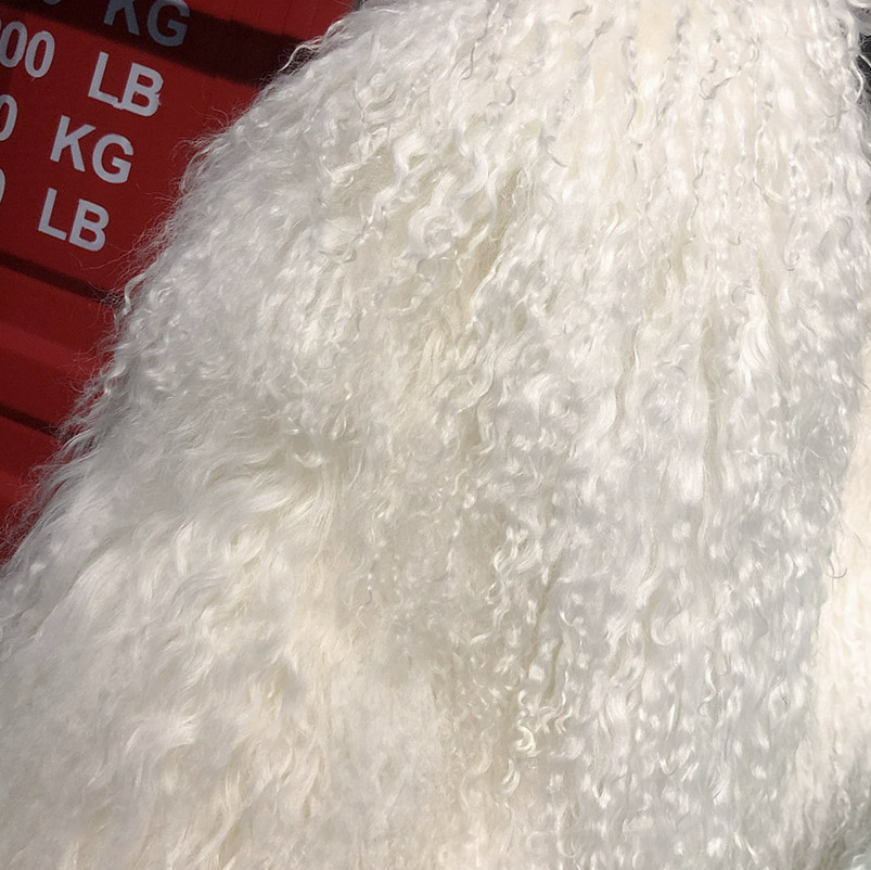 Bianco