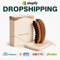 Brosse faciale en bois pour drainage lymphatique, à poils doux, pour le soin de la peau et la réduction des gonflements (Dropshipping)