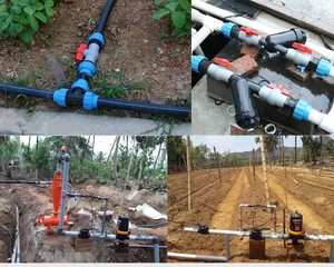 Accesorios de tubo de <span class=keywords><strong>riego</strong></span> personalizados conectores de rosca hembra codo de 90 grados para sistema de <span class=keywords><strong>riego</strong></span> por <span class=keywords><strong>goteo</strong></span> agrícola - Product Image 6