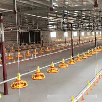 Système automatique d'élevage au sol pour volailles |   Équipement complet d'élevage en plan pour les fermes de poulets de chair et de poules pondeuses