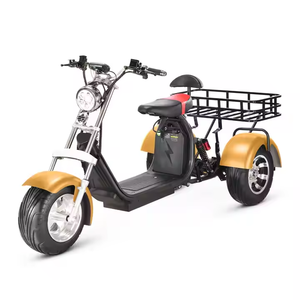 Nouveau tricycle électrique à 3 roues, <span class=keywords><strong>moto</strong></span> scooter électrique, City-coco disponible à la vente, 2000w Trike 3000w Tricycle - Product Image 4