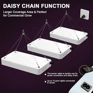 ไฟปลูกต้นไม้ <span class=keywords><strong>LED</strong></span> 1000W ตั้งเวลาได้ 8/12/16 ชั่วโมง แสงเต็มสเปกตรัมคล้ายแสงอาทิตย์ พร้อมสวิตช์คู่ สำหรับปลูกในร่ม Smd2835 ได้รับมาตรฐาน <span class=keywords><strong>CE</strong></span> <span class=keywords><strong>Rohs</strong></span> FCC 2000 - Product Image 3