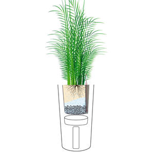 Brice बागवानी बड़े कमरे में रहने वाले पीपी प्लास्टिक के फूल के बर्तन vaso डे फ्लोरेस स्वयं पानी इनडोर गोल्डन बर्तन बोने की मशीन - Product Image 2