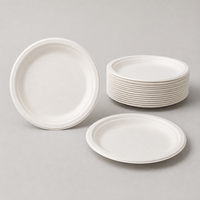 Assiettes en bagasse de canne à sucre 6 et 9 pouces, assiettes jetables compostables pour la restauration