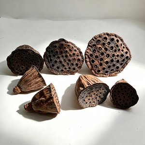 Umweltfreundliche, schlichte Trockenblumen-Samenköpfe für Heim- und Aquariendekoration, natürliche getrocknete Lotusblüten - Product Image 5