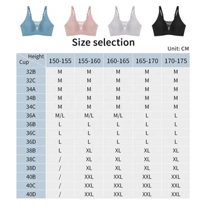 Set Reggiseno e Slip da Donna in Nylon Effetto Seta, Imbottitura Invisibile Push-up, Taglie Assortite, Vendita all'Ingrosso - Product Image 5