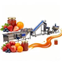 Aanpasbare automatische fruitjam productielijn industriële ananas mango jam maakmachine