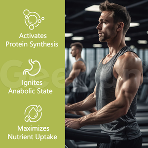 Hoge Kwaliteit Pure <span class=keywords><strong>Ginseng</strong></span> Poeder Kruidensupplement Bevorderen Gestage Gewichtstoename <span class=keywords><strong>Ginseng</strong></span> Wortelpoeder Voor Het Verbeteren Van De Eetlust - Product Image 4