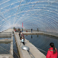 Film de serre en plastique transparent de 180 microns à diffusion de lumière LDPE avec stabilisateur UV, couverture en feuille de PE pour l'aquaculture