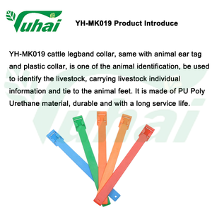 ईवा के लिए रंगीन legband गाय या घोड़े या मवेशी - Product Image 2