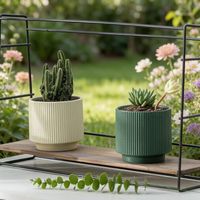 Pot de fleurs en céramique émaillée rond minimaliste avec rayures verticales, écologique, pour plantes en pot, logo personnalisable