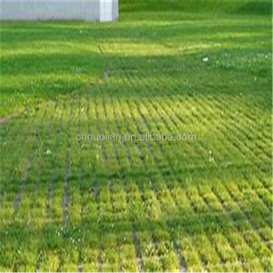 Lantai Paddock kuda luar ruangan Modern desain kisi plastik tembus udara - Product Image 3