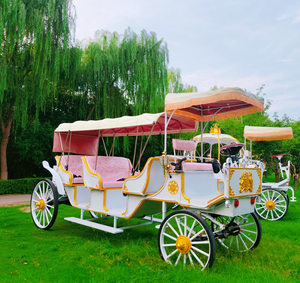 Calèche électrique personnalisable en couleur pour mariages, excursions, parcs et événements - Product Image 5