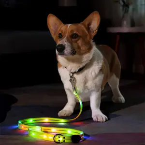 Khả Năng Hiển Thị Cao USB Sạc Ánh Sáng Đầy Màu Sắc Không Thấm Nước Webbing Light Up Dog Leash LED Pet Leash