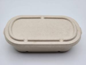 Assiettes écologiques biodégradables en pulpe de bagasse de canne à sucre, carrées et rondes, pour les fêtes et la restauration - Product Image 5