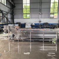 Volledig automatische roestvrijstalen fruit- en groentewasmachine met motor voor sojabonen en maïs, capaciteit 100-500 kg/uur
