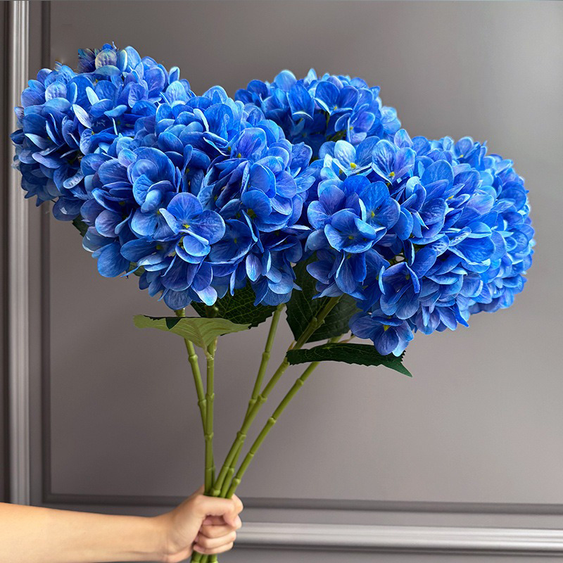 Blu2