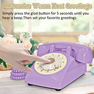 Teléfono Retro Personalizado, Libro de Visitas de Audio Vintage para Bodas, Cumpleaños, Aniversarios, Mensajes - Product Image 3