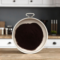 Extrait Double de Champignon Chaga Inonotus Obliquus avec Vitamines et Triperpénoïdes 4% en Poudre – Complément Alimentaire