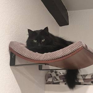 लकड़ी की बिल्ली फर्नीचर फ्लोटिंग शेल्फ दीवार घुड़सवार बिल्ली हैममॉक चढ़ाई अलमारियों खरोंच फ्रेम बिल्ली दीवार बिस्तर अलमारियों - Product Image 3