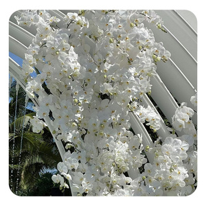 Duy Nhất Thân Cây Bán Buôn Bất Cảm Ứng Trắng Hoa Lan Lan Hoa Nhân Tạo Phalaenopsis Màu Xanh Hoa Lan Cho Đám Cưới Trang Trí Nội Thất - Product Image 6