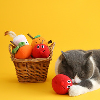 Fruitvormig pluche kattenknuffel-speeltje met ingebouwde pepermunt en matatabi, met appel-, persimmon-, sinaasappel- en verenontwerpen