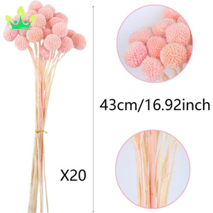20 pièces de fleurs séchées Craspedia Billy Ball Buttons <span class=keywords><strong>rose</strong></span> foncé, bouquets floraux pour arrangements de mariage, maison, vase haut, style bohème, festival - Product Image 2