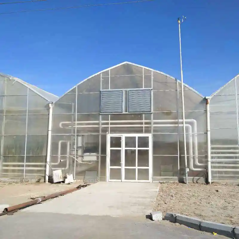 China professional multi span pc sheet greenhouses gutter connected for tomatoes for sale