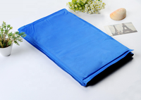 Tapis de refroidissement pour chien vente chaude coussin de glace pour animaux de compagnie tapis de matelas en peluche petit grand coussin de chat été garder au frais tapis de refroidissement pour chien en gel pour animaux de compagnie