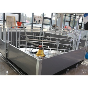 Gabbia per Parto Suini Stile Europeo per Suine da Allevamento |   Lettino da Parto Regolabile per Suini, per Allevamenti di Maiali - Product Image 6