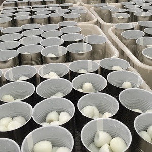 Assiette d'apéritifs en gros pour hôtels, restaurants et traiteurs, prête à consommer, œufs de caille pelés et cuits de qualité supérieure en saumure - Product Image 6