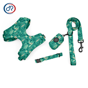 Arnés para perro, Correa y <span class=keywords><strong>collar</strong></span> OEM, bajo MOQ, conjunto de correa para perro, personalizado al por mayor, patrón de helado, verano, personalizado, conjunto de arnés para perro - Product Image 4