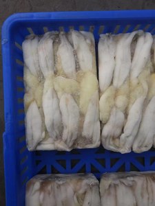 Tự nhiên và khỏe mạnh đông lạnh Argentina Mực trứng/<span class=keywords><strong>illex</strong></span> Mực trứng - Product Image 6
