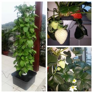 Sistema de Cultivo Hidropónico al por Mayor, Mini Torre de Jardín Vertical para Cultivo en Interiores y Exteriores, con Niveles y Orificios para Plantar Hierbas y Vegetales - Product Image 6