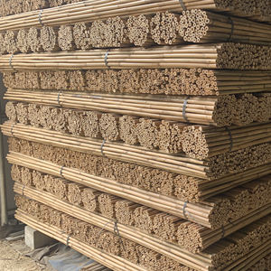 Canne di bambù gialle naturali ecologiche pali di bambù grezzi e paletti per piante Stand materie prime di bambù prodotto - Product Image 4