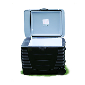 EVERCOOL DC12V 45L <span class=keywords><strong>Grand</strong></span> volume Glacière à bière européenne Refroidisseur Chauffeur Portable Camping Voiture Réfrigérateur <span class=keywords><strong>avec</strong></span> roues et poignée latérale - Product Image 4
