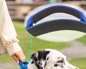 Fabrieksdirect Hondentuigjes <span class=keywords><strong>5cm</strong></span> Breed, Dik, Robuust, Verstelbaar Nylon Tactisch Hondentraininghalsband Met Slanggesp - Product Image 4