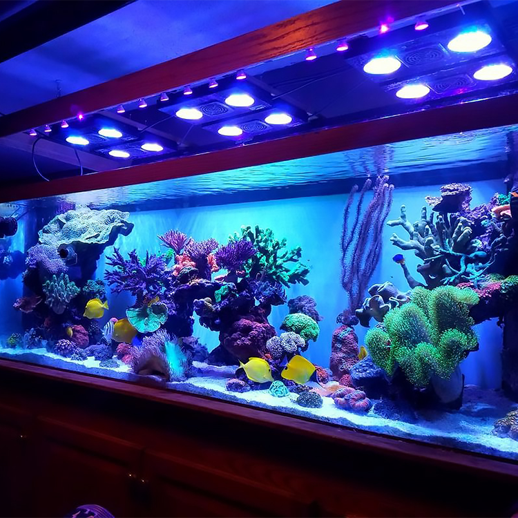 Nieuwe Gegoten Acryl Aquaria Fish Tank Voor Vis/Saltwater/Zoetwater, Acquario @