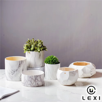Pot de fleurs en porcelaine à motif marbre moderne, trou de drainage, couleur personnalisée, pour plantes succulentes, cactus, petites plantes d'intérieur, maison, bureau