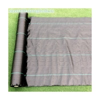 Rouleau de tissu pp noir en gros au meilleur prix d'usine, feuille de couverture de sol en polypropylène tissé tissu agro de contrôle des mauvaises herbes
