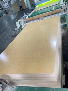 OSL/TSL 15mm carta rivestita di pellicola compensato/melamina E0 formaldeide WBP pioppo di prima classe mobili moderni armadi cucine - Product Image 3