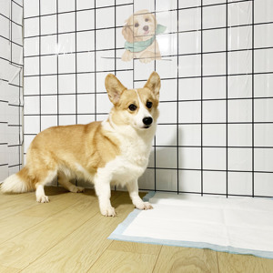 Chất liệu dày thấm hút Mùi kiểm soát dùng một lần đào tạo miếng đệm chống rò rỉ nhanh khô thú cưng PEE <span class=keywords><strong>pupy</strong></span> Pad - Product Image 2