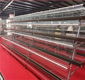 Cage à batterie pour poules pondeuses, conception RTL, poulailler d'élevage pour poules pondeuses, équipement d'élevage pour ferme avicole - Product Image 5